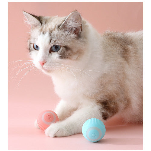 Pelota Interactiva con Luz y Movimiento para Gatos – Rosa / Verde